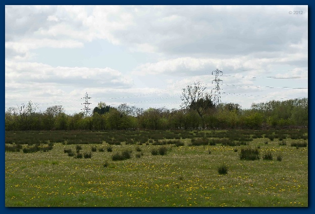 624x423 pixels (110K)